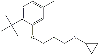 N-[3-(2-tert-butyl-5-methylphenoxy)propyl]cyclopropanamine Struktur