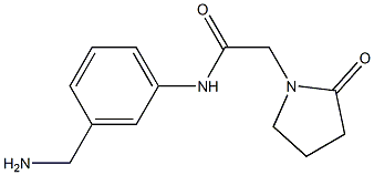 N-[3-(aminomethyl)phenyl]-2-(2-oxopyrrolidin-1-yl)acetamide Struktur