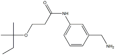 N-[3-(aminomethyl)phenyl]-3-[(2-methylbutan-2-yl)oxy]propanamide Struktur