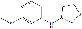 N-[3-(methylsulfanyl)phenyl]thiolan-3-amine Struktur