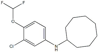 N-[3-chloro-4-(difluoromethoxy)phenyl]cyclooctanamine Struktur