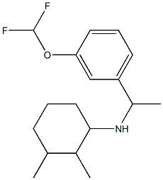 N-{1-[3-(difluoromethoxy)phenyl]ethyl}-2,3-dimethylcyclohexan-1-amine Struktur