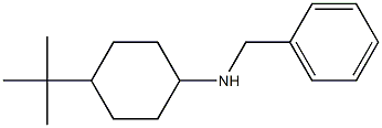 N-benzyl-4-tert-butylcyclohexan-1-amine Struktur