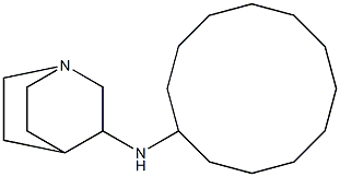 N-cyclododecyl-1-azabicyclo[2.2.2]octan-3-amine Struktur