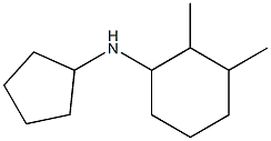 N-cyclopentyl-2,3-dimethylcyclohexan-1-amine Struktur