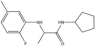 N-cyclopentyl-2-[(2-fluoro-5-methylphenyl)amino]propanamide Struktur