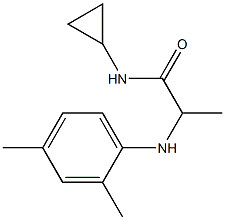 N-cyclopropyl-2-[(2,4-dimethylphenyl)amino]propanamide Struktur