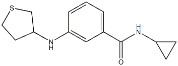 N-cyclopropyl-3-(thiolan-3-ylamino)benzamide Struktur