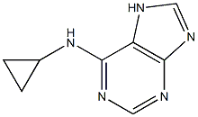 N-cyclopropyl-7H-purin-6-amine Struktur