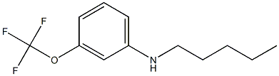 N-pentyl-3-(trifluoromethoxy)aniline Struktur