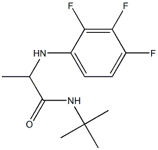 N-tert-butyl-2-[(2,3,4-trifluorophenyl)amino]propanamide Struktur