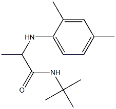 N-tert-butyl-2-[(2,4-dimethylphenyl)amino]propanamide Struktur