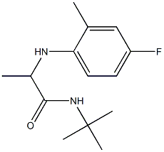 N-tert-butyl-2-[(4-fluoro-2-methylphenyl)amino]propanamide Struktur