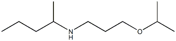 pentan-2-yl[3-(propan-2-yloxy)propyl]amine Struktur