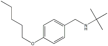 tert-butyl({[4-(pentyloxy)phenyl]methyl})amine Struktur