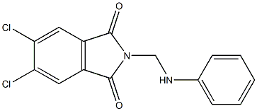 2-(anilinomethyl)-5,6-dichloro-1H-isoindole-1,3(2H)-dione Struktur