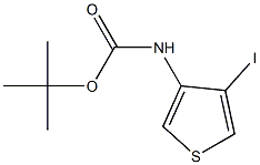 tert-butyl 4-iodo-3-thienylcarbamate Struktur