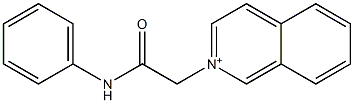 2-(2-anilino-2-oxoethyl)isoquinolinium Struktur