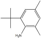 2-tert-butyl-4,6-dimethylaniline Struktur