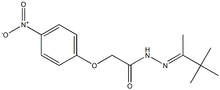 2-(4-nitrophenoxy)-N'-[(E)-1,2,2-trimethylpropylidene]acetohydrazide Struktur