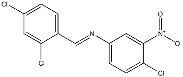 N-(4-chloro-3-nitrophenyl)-N-[(E)-(2,4-dichlorophenyl)methylidene]amine Struktur