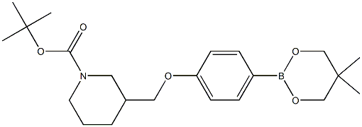 tert-Butyl 3-{[4-(5,5-dimethyl-1,3,2-dioxaborinan-2-yl)phenoxy]methyl}piperidine-1-carboxylate Struktur