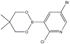 5-Bromo-2-chloro-3-(5,5-dimethyl-1,3,2-dioxaborinan-2-yl)pyridine Struktur