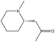 1-[(2S)-1-Methyl-2-piperidinyl]-2-propanone Struktur