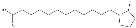 2-Methyl-1-(11-carboxyundecyl)thiolan-1-ium Struktur