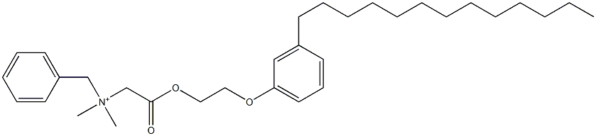 N,N-Dimethyl-N-benzyl-N-[[[2-(3-tridecylphenyloxy)ethyl]oxycarbonyl]methyl]aminium Struktur