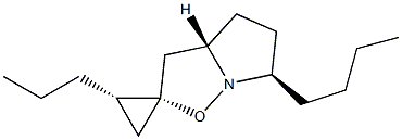 (2S,3aS,6R,2'S)-6-Butyl-2'-propyl-3a,4,5,6-tetrahydrospiro[pyrrolo[1,2-b]isoxazole-2(3H),1'-cyclopropane] Struktur