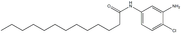 N-(3-Amino-4-chlorophenyl)tridecanamide Struktur