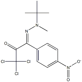 1-[2-Methyl-2-(tert-butyl)hydrazono]-1-(4-nitrophenyl)-3,3,3-trichloro-2-propanone Struktur