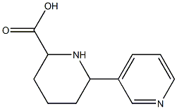 1,2,3,4,5,6-Hexahydro[2,3'-bipyridine]-6-carboxylic acid Struktur