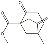 5-Methyl-2-oxo-6-methylenebicyclo[3.2.1]octane-1-carboxylic acid methyl ester Struktur