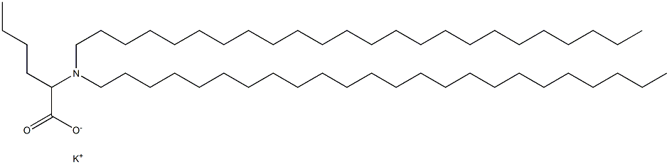 2-(Ditetracosylamino)hexanoic acid potassium salt Struktur