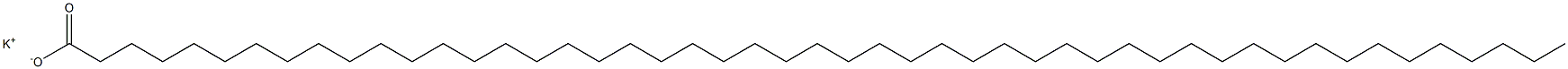 Nonatetracontanoic acid potassium salt Struktur