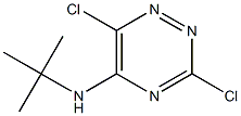 3,6-Dichloro-5-(tert-butylamino)-1,2,4-triazine Struktur