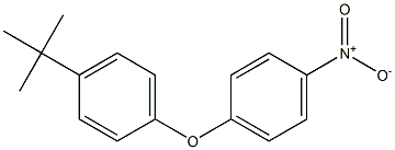 4-Nitrophenyl 4-tert-butylphenyl ether Struktur