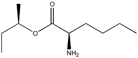 (R)-2-Aminohexanoic acid (R)-1-methylpropyl ester Struktur