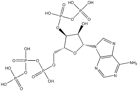 Adenosine 5'-triphosphoric acid 3'-diphosphoric acid Struktur