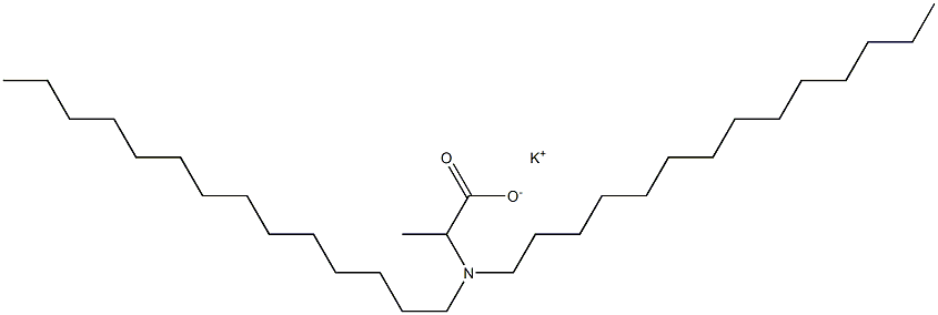 2-(Ditetradecylamino)propanoic acid potassium salt Struktur