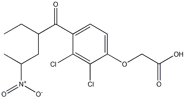 2-[2,3-Dichloro-4-(2-ethyl-4-nitropentanoyl)phenoxy]acetic acid Struktur