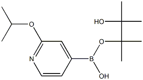 2-Isopropoxypyridine-4-boronic acid pinacol ester Struktur