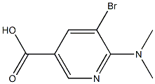 5-bromo-6-(dimethylamino)nicotinic acid Struktur