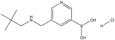 5-((neopentylamino)methyl)pyridin-3-ylboronic acid hydrochloride Struktur