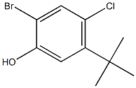 2-Bromo-5-tert-butyl-4-chloro-phenol Struktur