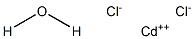 Cadmium chloride monohydrate|