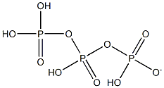 monohydrogen triphosphate ion Struktur