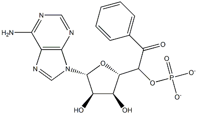 benzoyl-adenylate Struktur